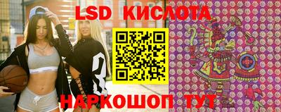 стафф Донецк