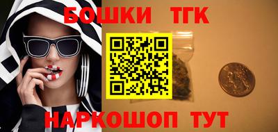 стафф Донецк