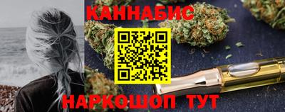 стафф Донецк
