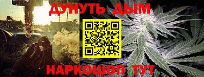 стафф Донецк