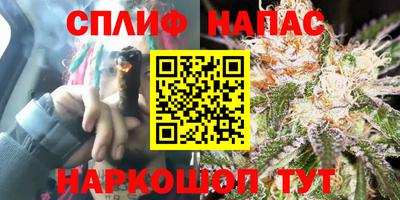 СК Пугачёв